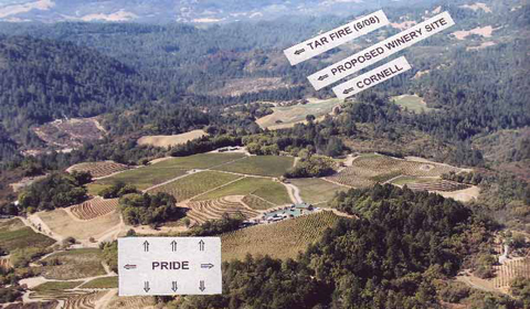 pridecornell