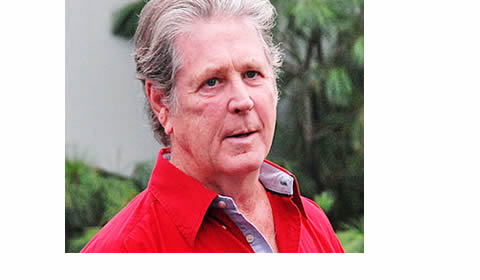 Landy anderson thesis 05 image