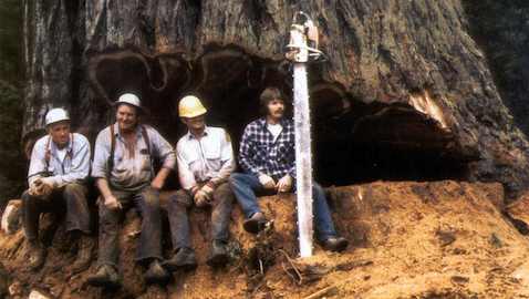 redwood-logging_slide