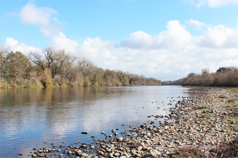 BacherAmRiver