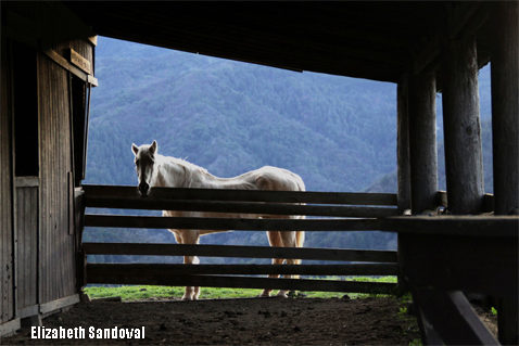 Sandoval