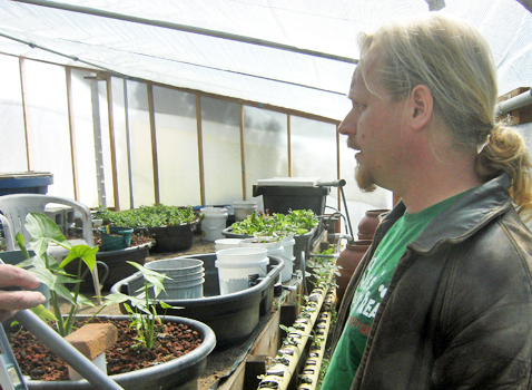 Greenhouse3