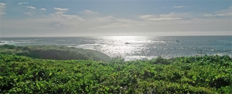 BoatInSea