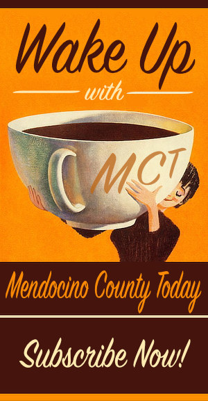 mct-ad-online2