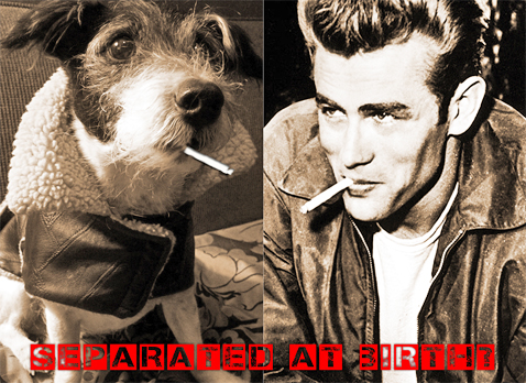 dogwithjamesdean
