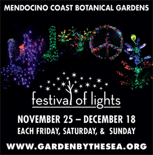 gardens-festival-lights-ad