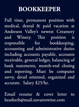 bookkeeper-wanted-ad