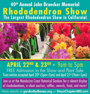 rhody-ad