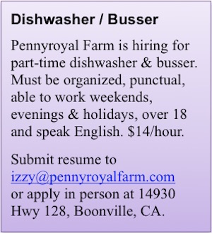 pennyroyal-dishwasher