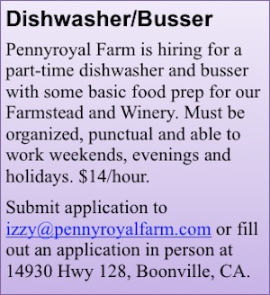 dish-bus-pennyroyal-ad