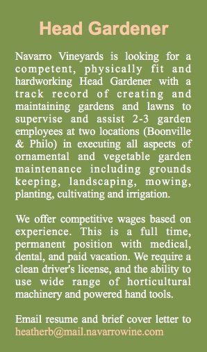 navarro-head-gardener-ad