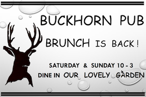 ad Buckhorn brunch
