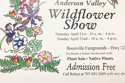 WildflowerShowPoster