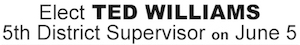 ted williams 300