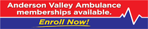 AVAmbulanceEnrollmentBanner300x60