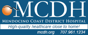 MCDH ad 300 x 120