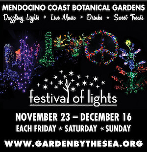 mcbg FOL 2018 ad 300×311