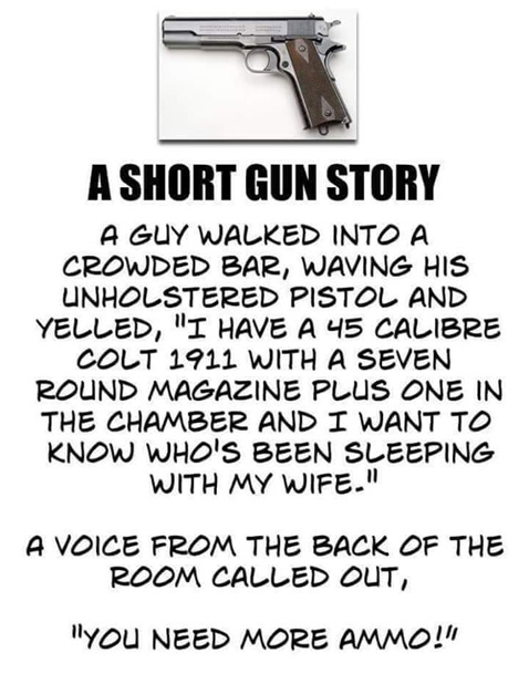 GunStory