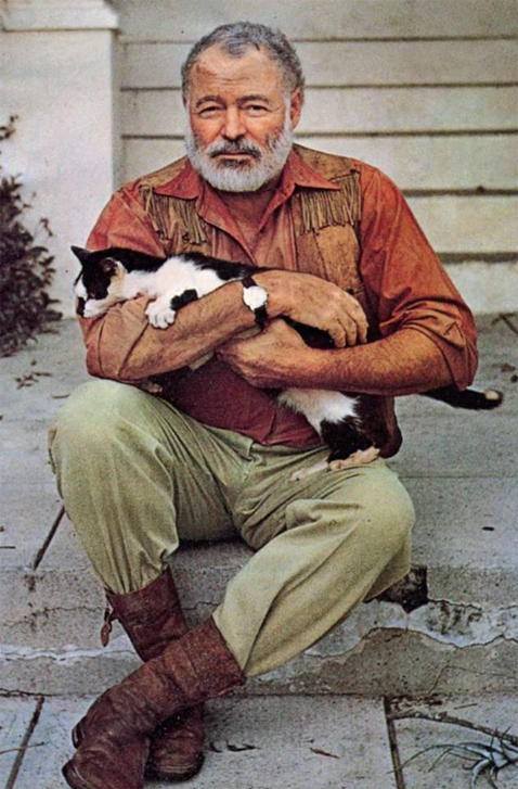 HemingwaysCat