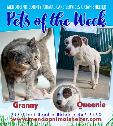 PetsOfWeek
