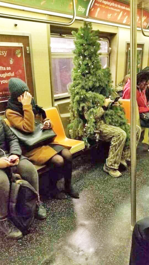 TreeClaus