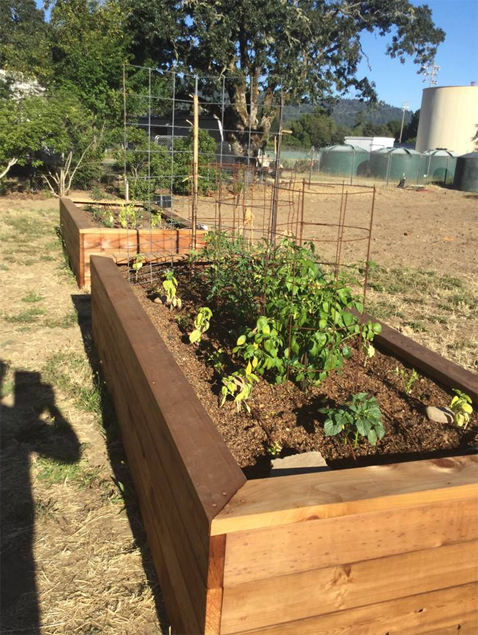 CommunityGarden
