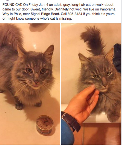 FoundCat