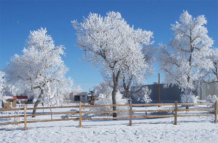 HoarFrostyPark
