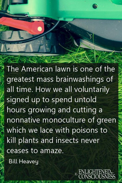 Lawns