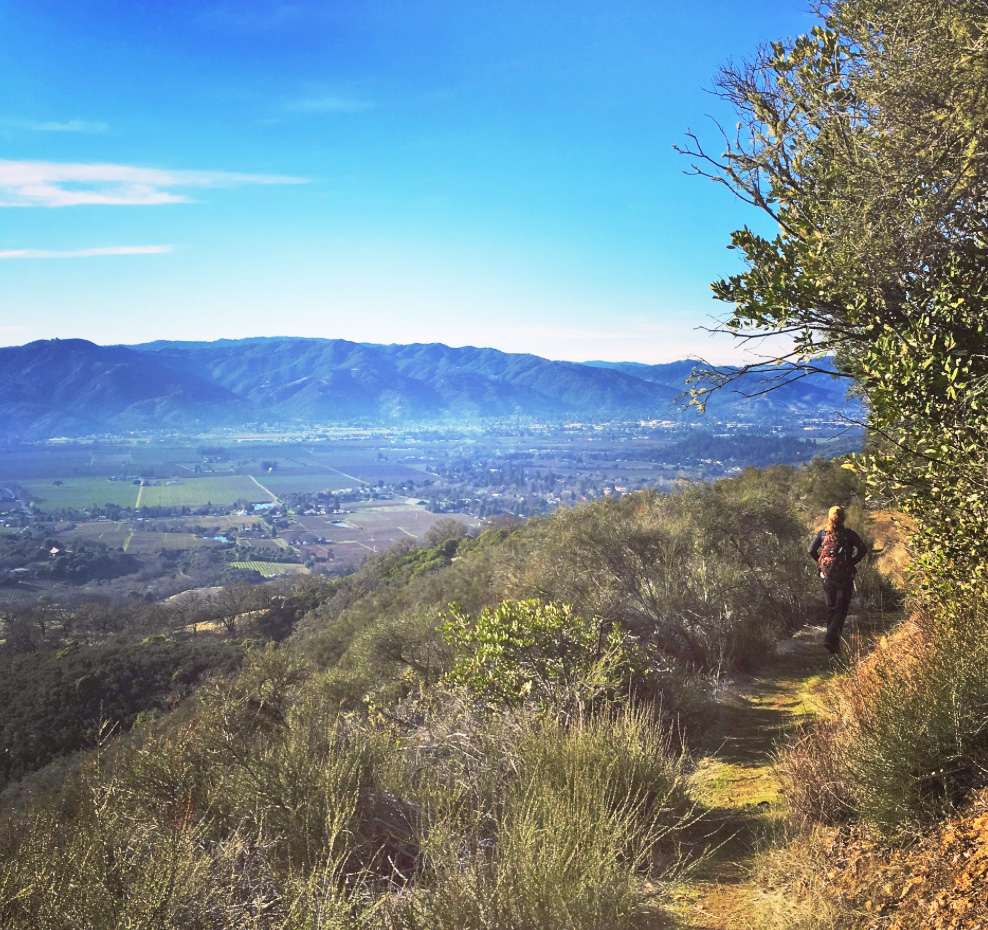 MendoHike