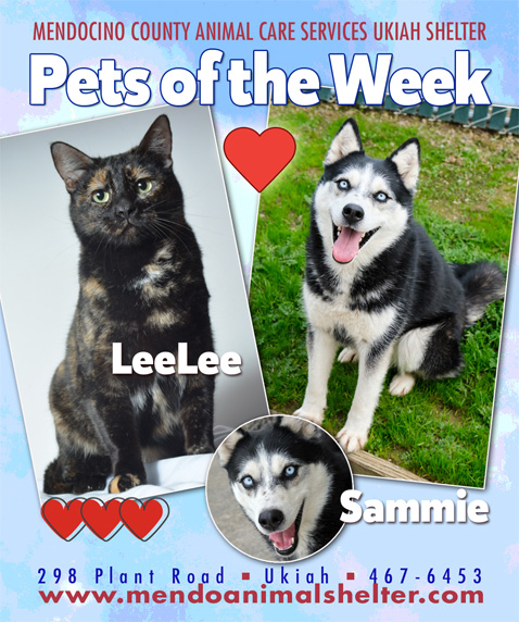 PetsOfWeek