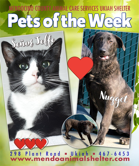 PetsOfWeek