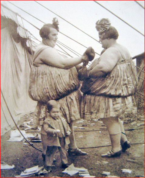 Pugilists