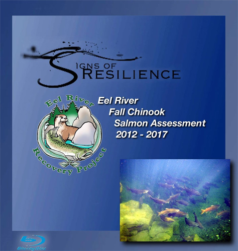 SignsOfResilience