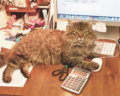 SkragCat&Mouse