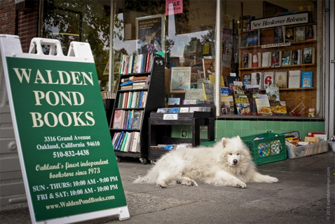 WaldenPondBooks