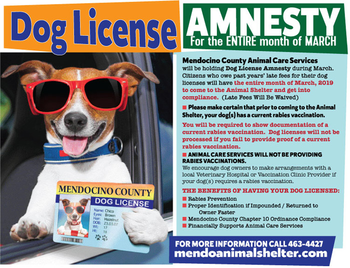 AmnestyFlyer