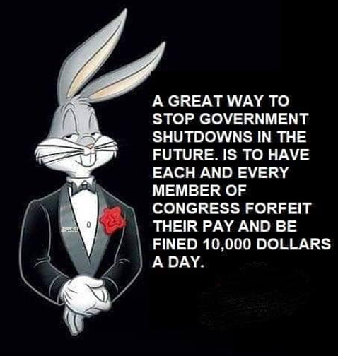 BugsOnGovt