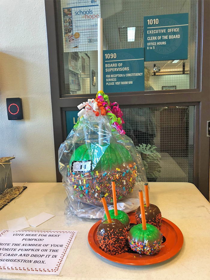 CountyPumpkinContest
