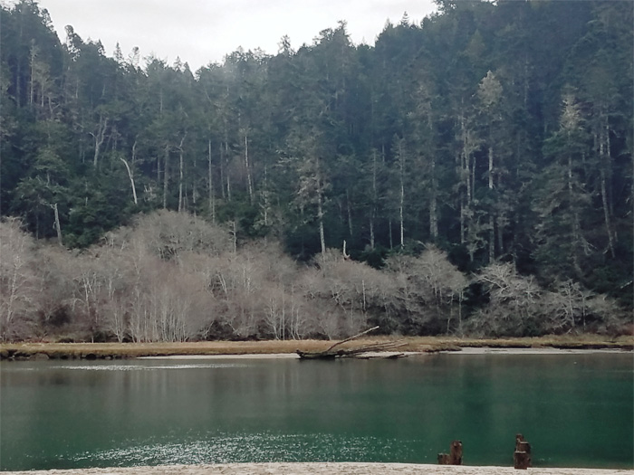 FoggyRiver