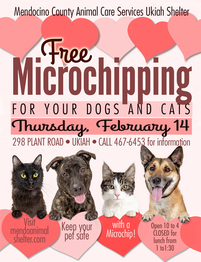 FreeMicrochipping