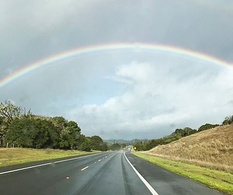 Rainbow215
