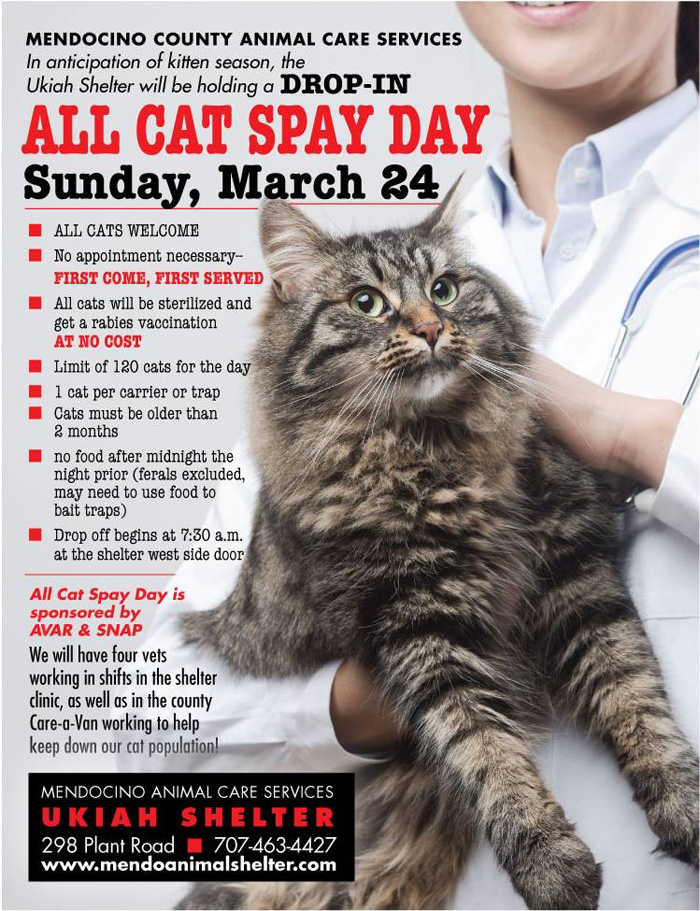 SpayDay