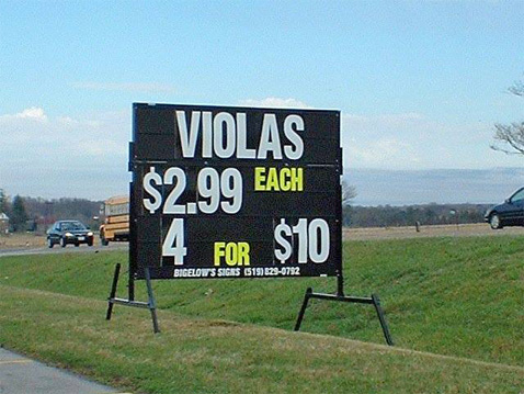 Violas