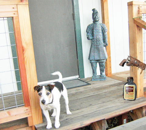 DogwithGun&Bottle