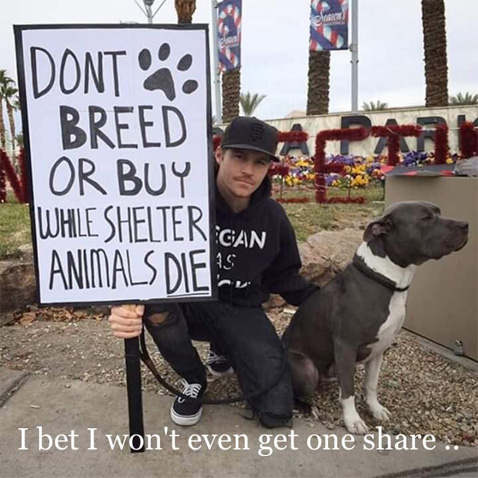 DontBreed