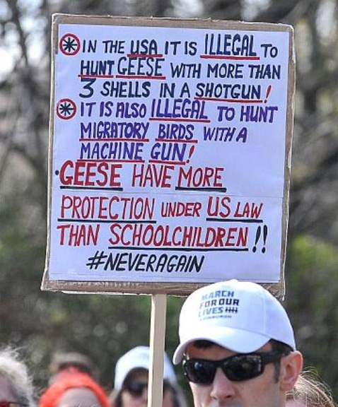 GunLaws4Geese