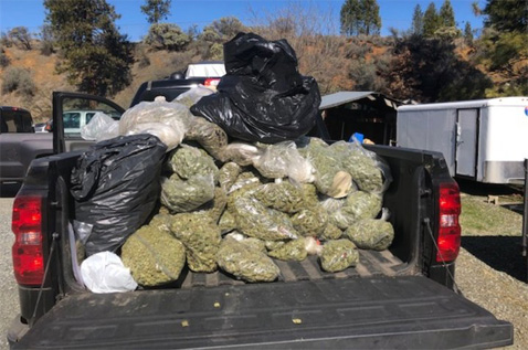 HayforkBust