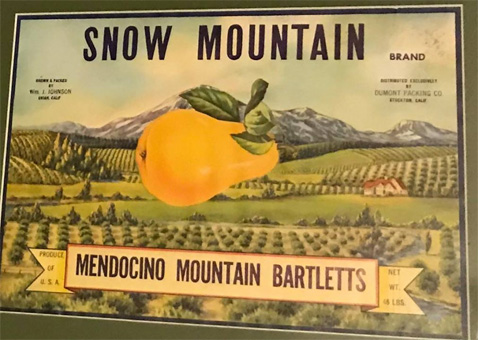 MuseumSnowMountain
