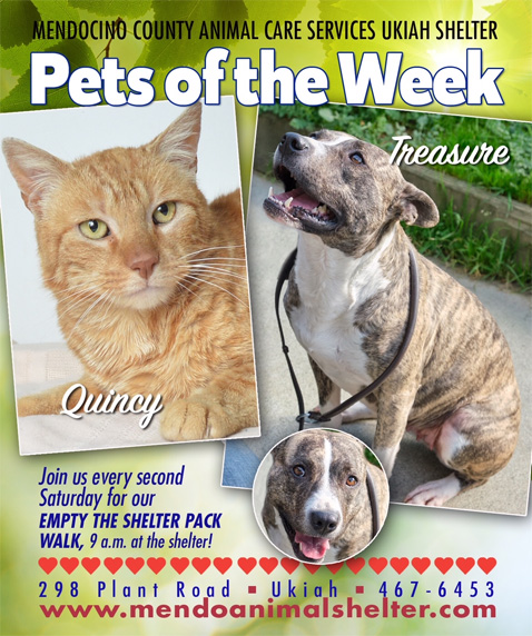 PetsOfWeek